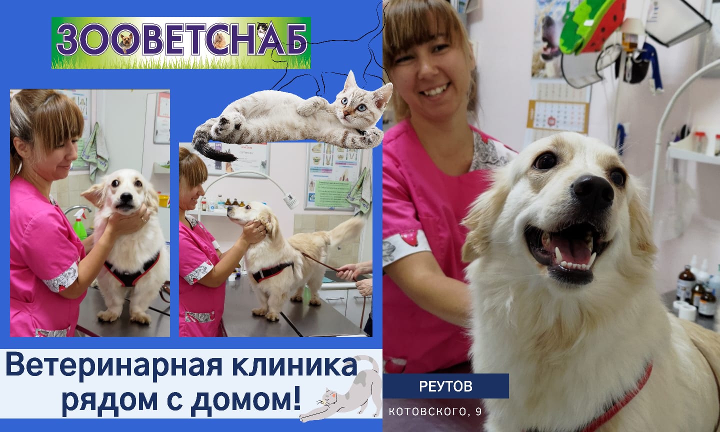 Зооветснаб