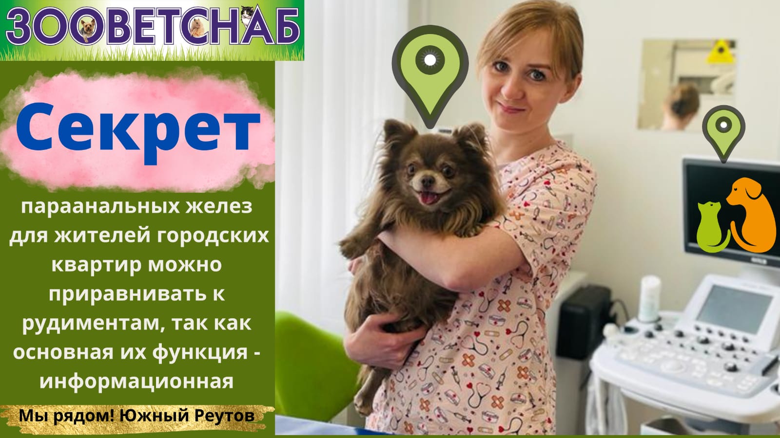Воспаление параанальных желез