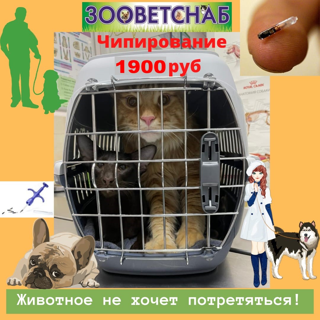 зооветснаб ул г и котовского 9 отзывы. зооветснаб реутов. ветеринарная аптека в новокосино. зооветснаб аксай. котовского 7 реутов.