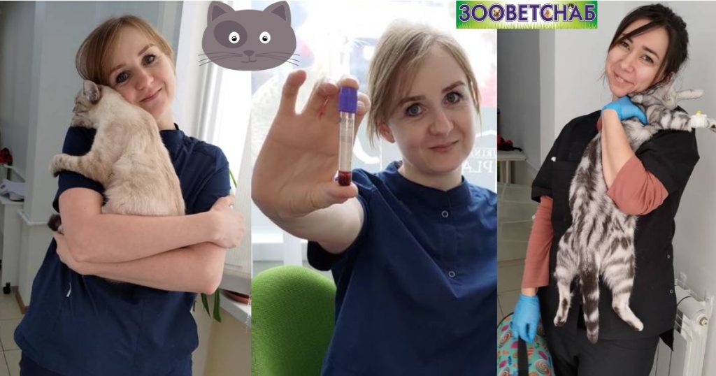 Цены на вакцинацию: – ЗООВЕТСНАБ